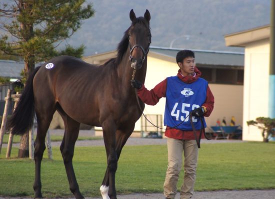 452%e3%82%aa%e3%83%bc%e3%82%af%e3%82%b7%e3%83%a7%e3%83%b3%e3%83%ab%e3%83%bc%e3%83%a0_r