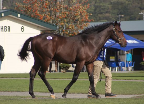 333%e3%83%97%e3%83%a9%e3%83%aa%e3%83%8d_r