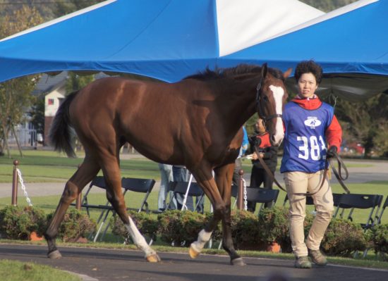 388%e3%83%a9%e3%83%96%e3%83%89%e3%83%aa%e3%83%bc%e3%83%a0_r